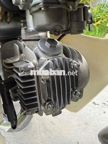 Super Dream 2013 rin cọp odo 6900km