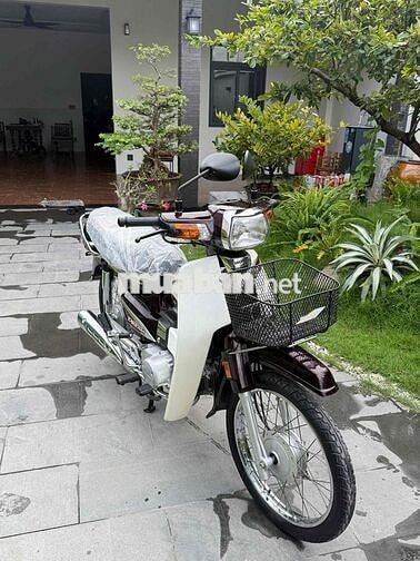 Super Dream 2013 rin cọp odo 6900km