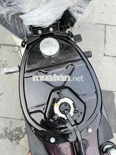 Super Dream 2013 rin cọp odo 6900km