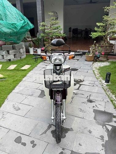 Super Dream 2013 rin cọp odo 6900km