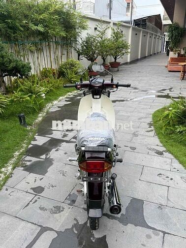 Super Dream 2013 rin cọp odo 6900km