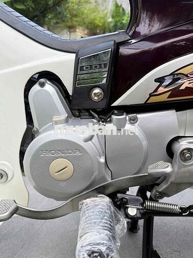 Super Dream 2013 rin cọp odo 6900km
