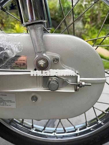 Super Dream 2013 rin cọp odo 6900km