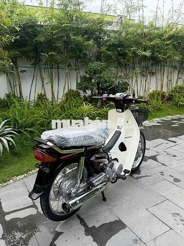 Super Dream 2013 rin cọp odo 6900km