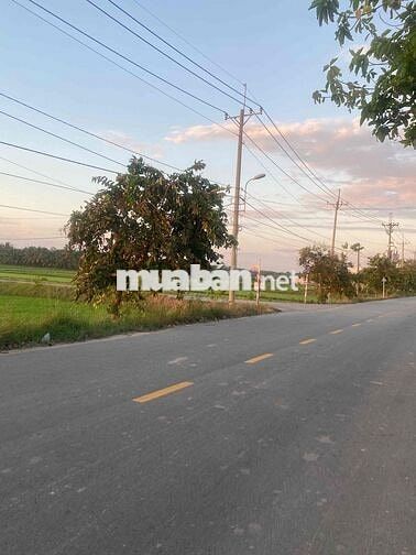 Bán đất mặt tiền Võ Văn Điều , phường thái mỹ ,xã trung lập thượng củ