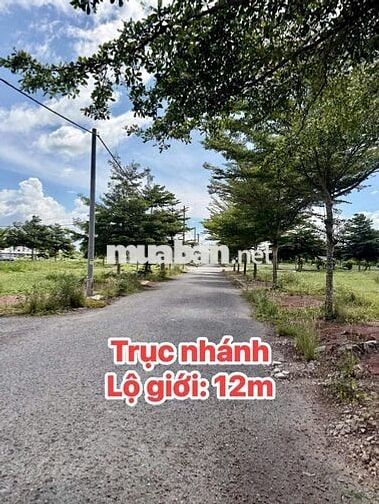BÁN GẤP 5 NỀN LIỀN KỀ GIÁ RẺ HƠN THỊ TRƯỜNG 2-300TR