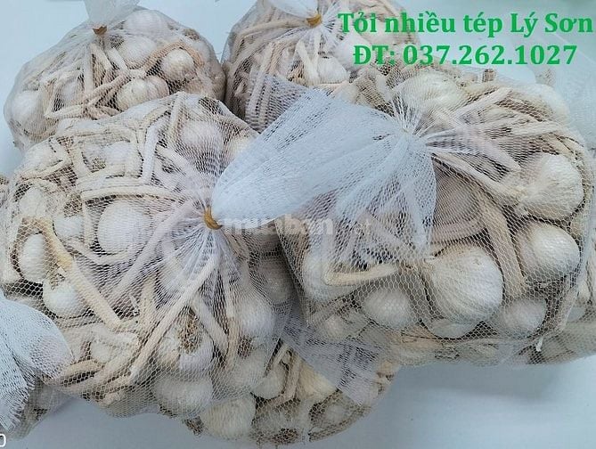 Tỏi Lý Sơn nhiều tép loại 1 (chính gốc Lý Sơn)