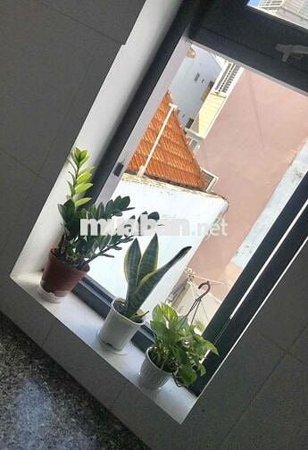 Tìm nữ ở ghép dễ thương (ờ từ tháng 8)