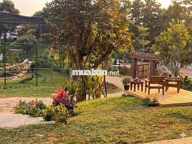 𝐅𝐀𝐑𝐌 𝐒𝐈𝐍𝐇 𝐓𝐇𝐀́𝐈 & 𝐂𝐀𝐅𝐄 𝟗.𝟎𝟎𝟎𝐌² 𝐓𝐀̣𝐈 Đ𝐀̀ 𝐍𝐀̆̃𝐍𝐆 🌟