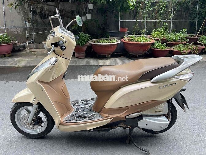 Honda Lead 2014 Vàng kem