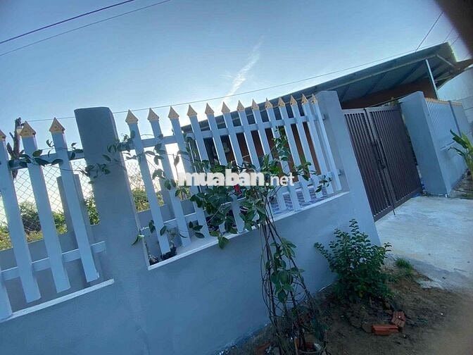 Lô đất quy chủ ngang 6m k264 hoàng văn thái chính chủ