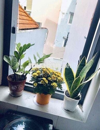 Tìm nữ ở ghép dễ thương (ờ từ tháng 8)