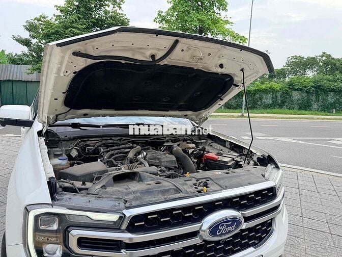 Ford Everest Platinum 2024 Trắng