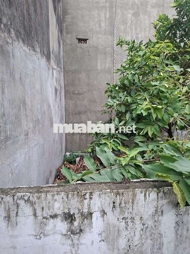 📢 CỰC MỀM LÔ GÓC 2 MẶT TIỀN 55M² ĐƯỜNG LÊ TRỌNG TẤN - TÂN PHÚ.4,2 TỶ