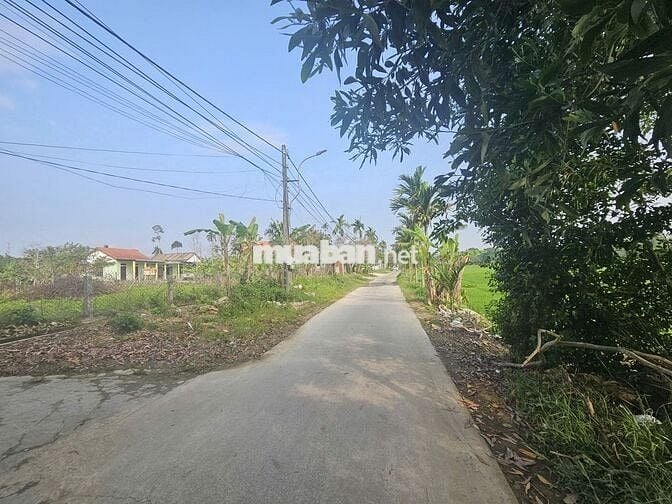 BÁN ĐẤT ĐƯỜNG ĐẶNG ĐỨC TUẤN - THỦY BIỀU - HUẾ