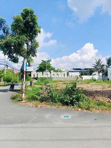 Bán nhanh lô đất 2 MT 258m² Suối Lội, Tân Thông Hội  giá rẻ shr đầy đủ