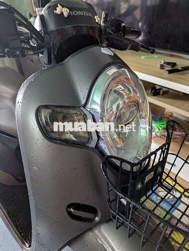 Honda Scoopy 2020 Xám nhám Nữ