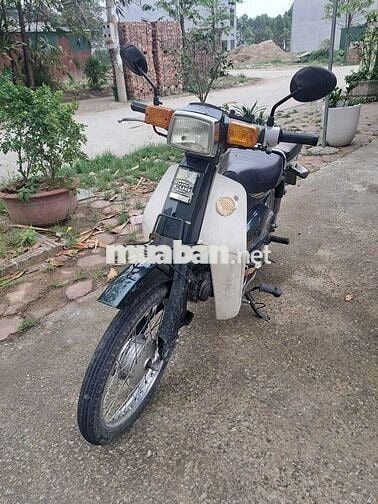 Honda Cub 50cc Xanh Trắng