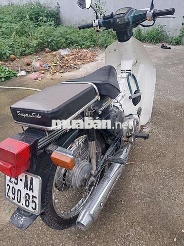 Honda Cub 50cc Xanh Trắng