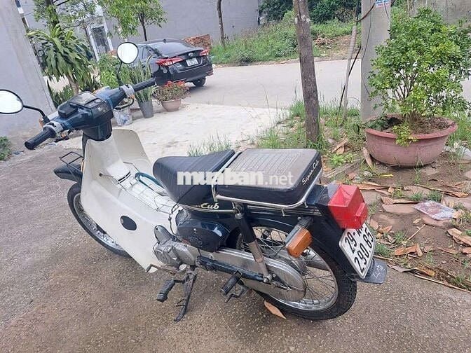 Honda Cub 50cc Xanh Trắng