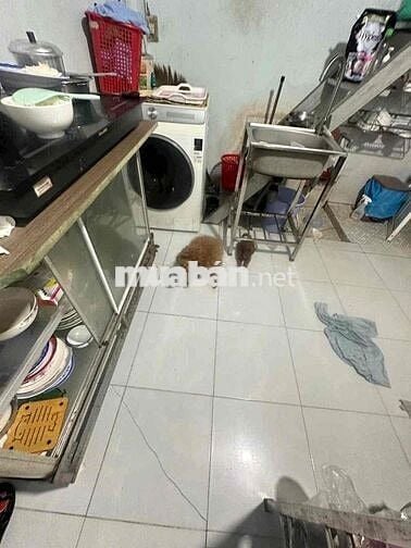 BÁN ĐẤT TẶNG NHÀ - HXH - SÁT GÒ VẤP - TÂN THỚI HiỆP 20 - 78m2 - 3 tỷ