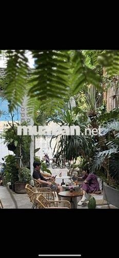 Phú Nhuận Tuyển Pha Chế Cafe Truyền thống.