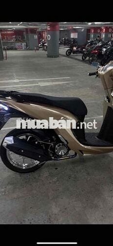 Honda Vision 2024 Vàng đồng