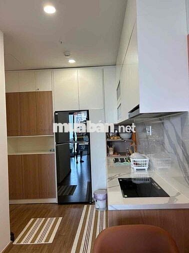 035 CHO THUÊ CĂN HỘ SUN COSMO TRUNG TÂM HẢI CHÂU