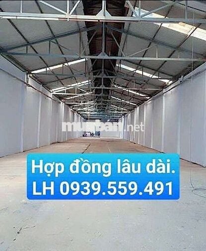 kho cho thuê 9*50 Đường Quách điêu vĩnh lộc A Bình Chánh tphcm