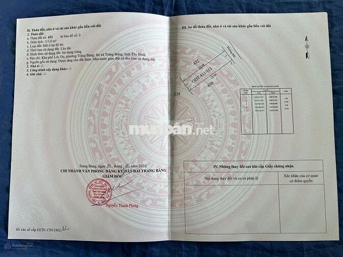 làm ăn thua bán 115m2 giá 650 triệu đường Nguyễn Du phường Trảng Bàng 