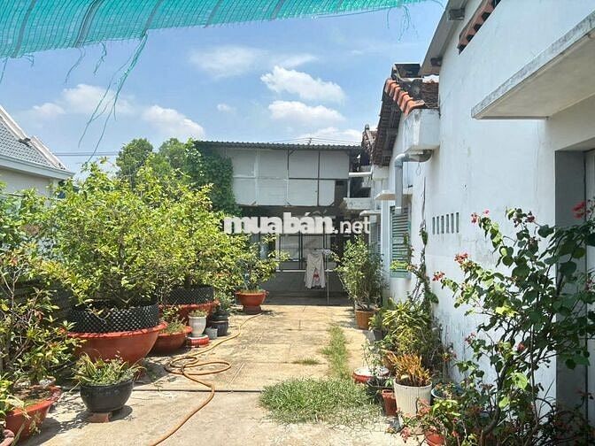 CĂN NHÀ MÁI THÁI ĐANG SỬ DỤNG NGANG 16X30 FULL THỔ BÁN GẤP GIÁ 880TR