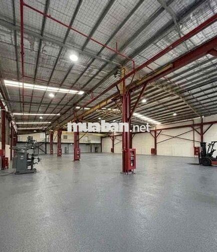 Cho Thuê Xưởng Xuân Thới Sơn Hóc Môn