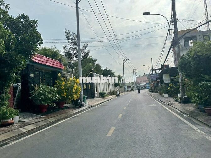 Tôi bán đất 115m² full thổ cư 750triệu đường Lộc Du Phường Trảng Bàng