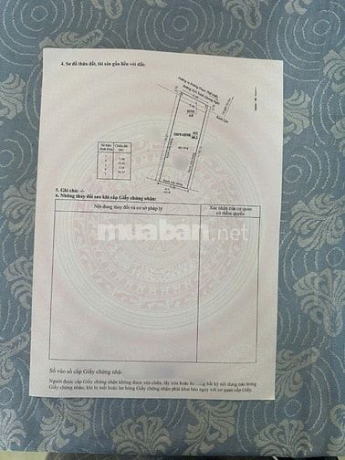 Đất MT 35A Trịnh Quang Nghị P7 Q8 kdc Phú Lợi SHR 88,2m2, hỗ trợ NH