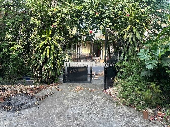  Nhà 128m2 đất Gần ngã 3 Đường 234 giao với Hương lộ 11 Bình Chánh HCM