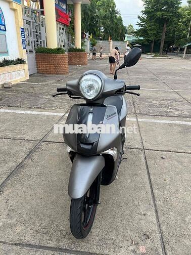 Yamaha Jannus Smakey BS 71 Xám nhám
