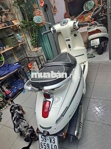 Peugeot Django 2022 Trắng ngọc trai Phanh ABS