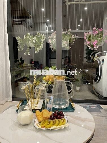 Cho thuê 1PN+1 Full nội thất đẹp - GS2 Vinhomes Smart City
