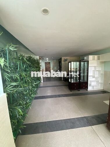 CHDV 3.6x26.5m, 6 tầng, MT Hồ Thành Biên, P.4, Q.8