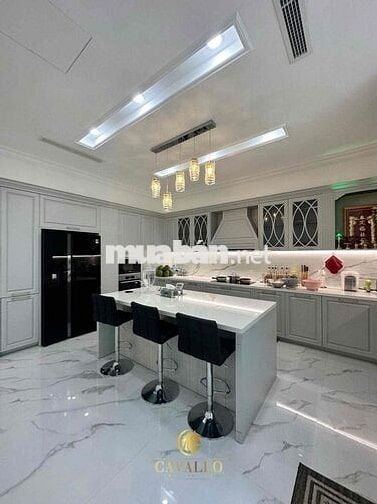 BÁN NHÀ BIỆT THỰ CAO CẤP ĐƯỜNG ĐẸP 281M2