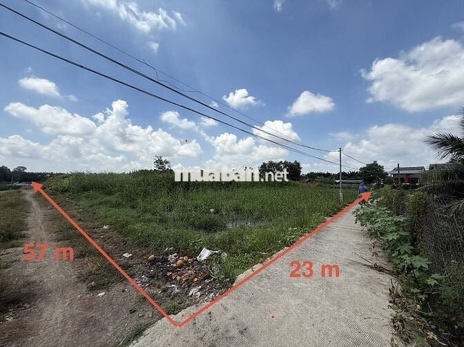 Bán đất Xã Tân Phước Tây, Huyện Tân Trụ, Tỉnh Long An.