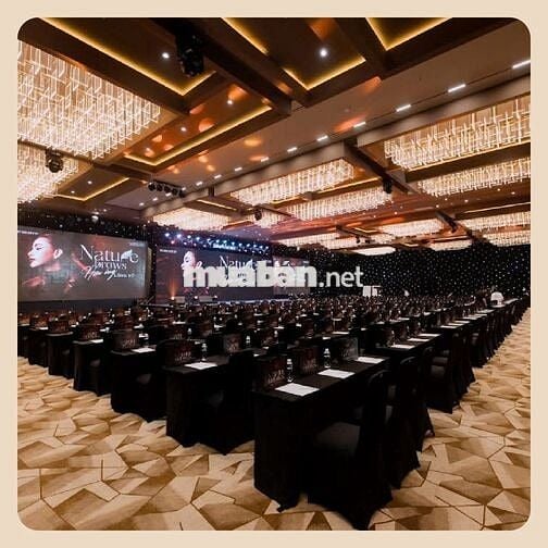 TÒA NHÀ MỚI XÂY ĐẶNG VĂN NGỮ PHÚ NHUẬN-HẦM 7 TẦNG, DTSD ~2000m2