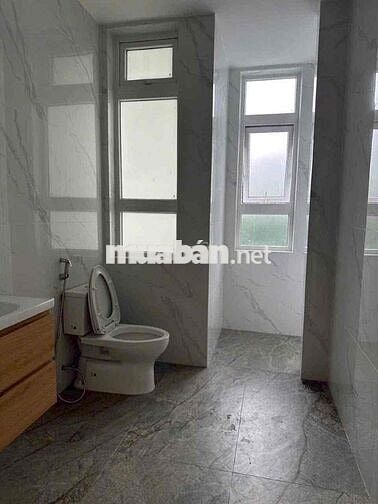 🇻🇳🇻🇳🇻🇳BIỆT THỰ CHO THUÊ NGUYỄN LƯƠNG BẰNG PMH Q7