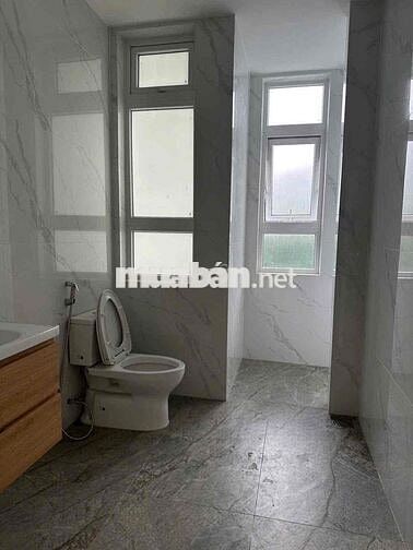 🇻🇳🇻🇳🇻🇳BIỆT THỰ CHO THUÊ NGUYỄN LƯƠNG BẰNG PMH Q7