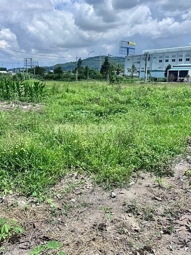 🏡 BÁN ĐẤT THỔ CƯ PHƯỜNG KIM DINH - TP. BÀ RỊA 🏡