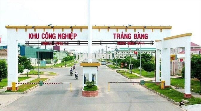 Bán gấp lô đất 550m2 thổ cư đường Gia Huỳnh Phường Trảng Bàng 950triệu
