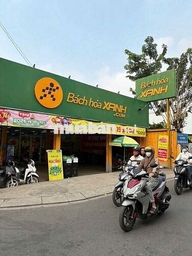 Bán đất 267m2(45m2 thổ) giá 800 trung tâm trảng Bàng sổ hồng riêng