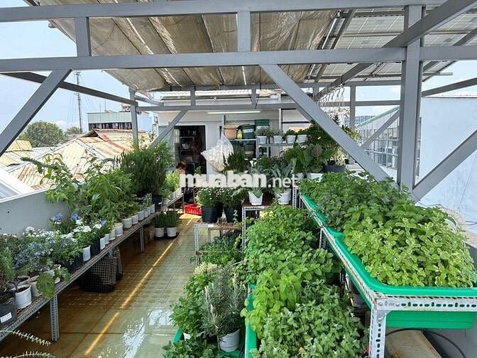 Tuyển Partime Quận 10 hỗ trợ đóng hàng buổi Sáng
