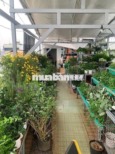 Tuyển Partime Quận 10 hỗ trợ đóng hàng buổi Sáng