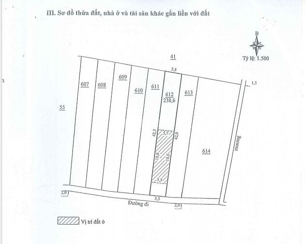 BÁN ĐẤU GIÁ TS VIB L5_XÃ LỘC AN, BẢO LÂM, LÂM ĐỒNG